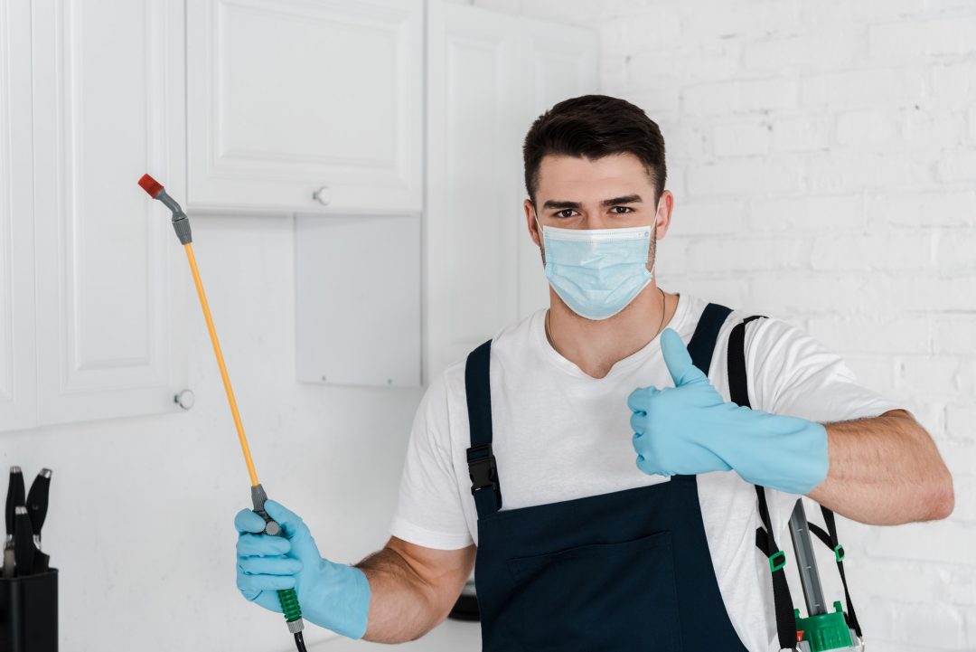 el paso exterminator
