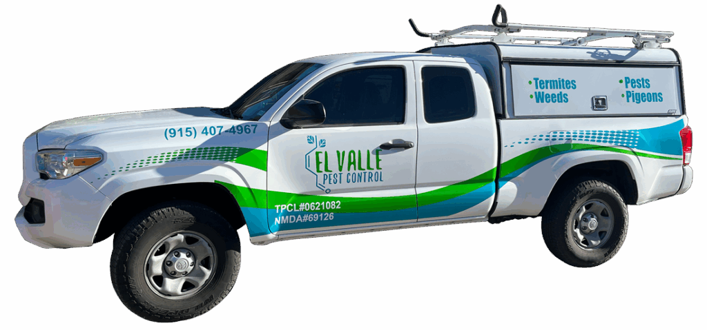 Commercial Pest Control El Paso