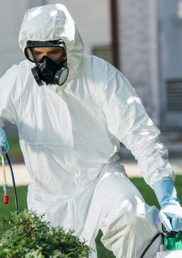 male-pest-control-worker-in-uniform-spraying-chemicals-on-bush.jpg male-pest-control-worker-in-uniform-spraying-chemicals-on-bush.jpg